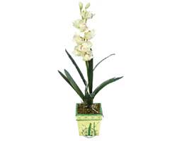 zel Yapay Orkide Beyaz   Hediye iek online iek gnderme sipari 