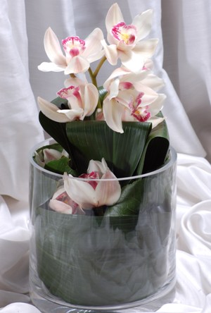  Hediye iek nternetten iek siparii  Cam yada mika vazo ierisinde tek dal orkide