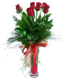 vazo içerisinde 5 kırmızı gül  Hediye Çiçek internetten çiçek siparişi 