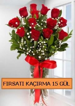  15 İthal kırmızı gül büyük başlı orjinal  Hediye Çiçek yurtiçi ve yurtdışı çiçek siparişi 