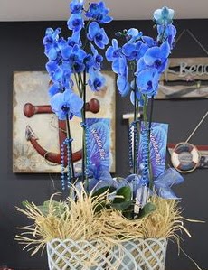 4 dall zel mavi orkide  Hediye iek iek gnderme sitemiz gvenlidir 