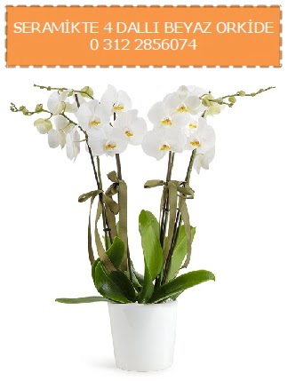 Seramikte 4 dall beyaz orkide  Hediye iek iek yolla , iek gnder , ieki  