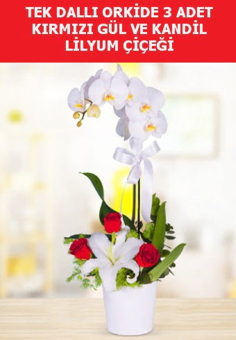 Tek dall orkide 3 gl ve kandil lilyum  Hediye iek 14 ubat sevgililer gn iek 