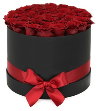 Siyah Kutuda 25 adet kırmızı gül  Hediye Çiçek uluslararası çiçek gönderme 