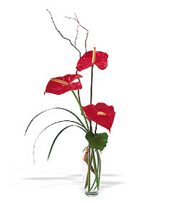  Hediye Çiçek yurtiçi ve yurtdışı çiçek siparişi  cam yada mika Vazoda 3 adet  antoryum