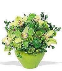 cam yada mika vazoda 5 adet orkide   Hediye Çiçek online çiçek gönderme sipariş  