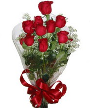 9 adet kaliteli kirmizi gül   Hediye Çiçek online çiçek gönderme sipariş 
