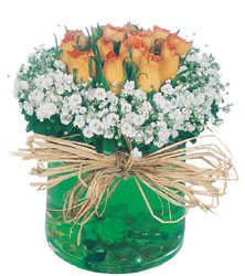  Hediye Çiçek online çiçekçi , çiçek siparişi  Cam yada mika içerisinde 9 adet  gül aranjmani