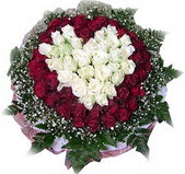  Hediye Çiçek internetten çiçek satışı  27 adet kirmizi ve beyaz gül sepet içinde