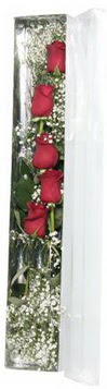  Hediye Çiçek yurtiçi ve yurtdışı çiçek siparişi   5 adet gülden kutu güller