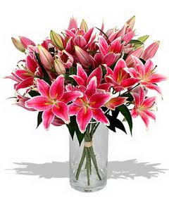 4 dal cazablanca görsel vazosu  Hediye Çiçek güvenli kaliteli hızlı çiçek 