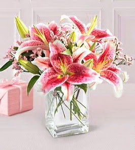 2 dal kazablanka görsel vazosu  Hediye Çiçek yurtiçi ve yurtdışı çiçek siparişi 