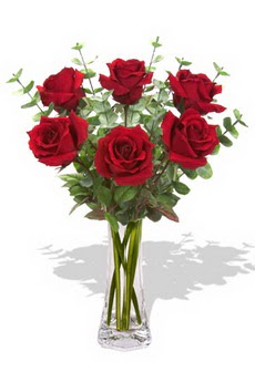  Hediye Çiçek güvenli kaliteli hızlı çiçek  6 kırmızı gül vazosu