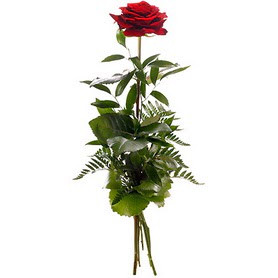  Hediye Çiçek online çiçek gönderme sipariş  1 adet kırmızı gülden buket