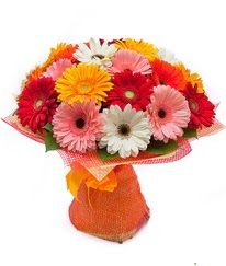 Renkli gerbera buketi  Hediye Çiçek ucuz çiçek gönder 