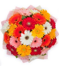 15 adet renkli gerbera buketi  Hediye Çiçek çiçek siparişi vermek 