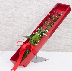 Kutu içerisinde 3 adet kırmızı gül  Hediye Çiçek çiçek yolla 