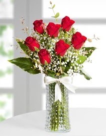 Cam vazoda 7 adet kırmızı gül  Hediye Çiçek çiçek servisi , çiçekçi adresleri 