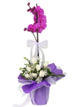 1 dal mor orkide ve 11 adet beyaz gül  Hediye Çiçek çiçek , çiçekçi , çiçekçilik 