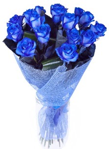 12 adet mavi gül buketi  Hediye Çiçek çiçek siparişi sitesi 
