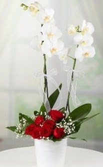 2 dallı beyaz orkide 7 adet kırmızı gül  Hediye Çiçek çiçek , çiçekçi , çiçekçilik 