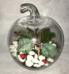 Küçük terrarium elma 3 kaktüs  Hediye Çiçek internetten çiçek satışı 