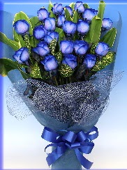 19 adet eşsiz mavi gül buketi  Hediye Çiçek çiçek satışı 