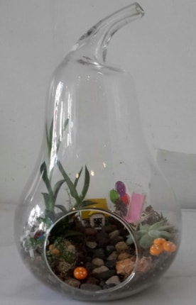 Orta boy cam armut terrarium  Hediye Çiçek çiçek online çiçek siparişi 