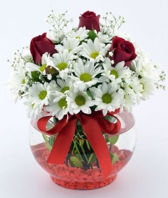 Fanusta 3 Gül ve Papatya  Hediye Çiçek online çiçekçi , çiçek siparişi 