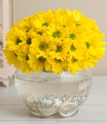 Fanusta Sarı Papatya  Hediye Çiçek yurtiçi ve yurtdışı çiçek siparişi 