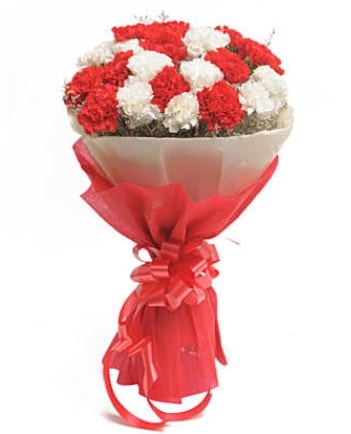 21 adet kırmızı beyaz karanfil buketi  Hediye Çiçek çiçek online çiçek siparişi 