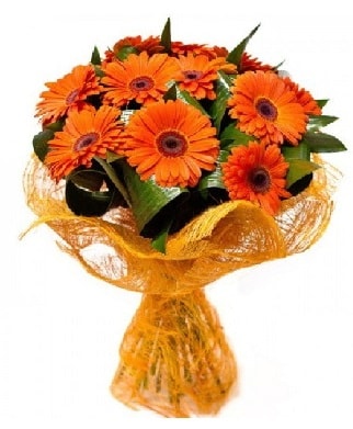 11 adet turuncu gerbera buketi  Hediye Çiçek çiçek yolla , çiçek gönder , çiçekçi  