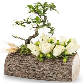 Doğal kütükte bonsai ağacı ve 7 beyaz gül  Hediye Çiçek uluslararası çiçek gönderme 