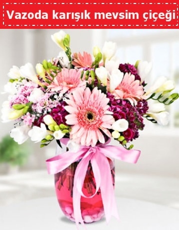 Vazoda karışık mevsim çiçeği  Hediye Çiçek çiçek servisi , çiçekçi adresleri 