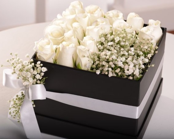 Kutu içerisinde 19 beyaz gül ve cipsofilya  Hediye Çiçek çiçek servisi , çiçekçi adresleri 